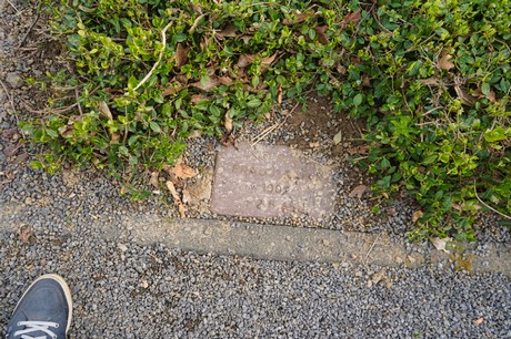 Bad Bodendorf